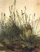 Albrecht Durer The Great Ture Sweden oil painting artist